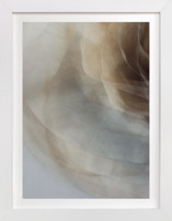 Whispers of Innocence 1 Fine Art Prints
