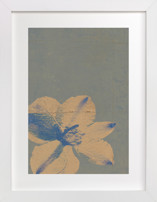 Reframed Nature 1 Fine Art Prints
