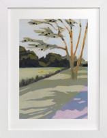 Shadow Path Fine Art Prints