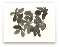 Light Dappled by Lise Gulassa