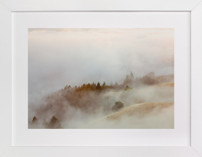 Summer Fog Fine Art Prints