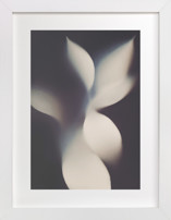Into the light  Fine Art Prints