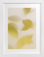 Clarity Fine Art Prints