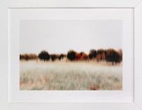 Fleeting Fine Art Prints