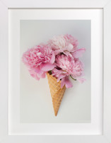 Sweet Summer Fine Art Prints