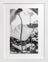 dancing in the light Fine Art Prints