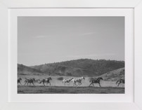 wild wild west II Fine Art Prints