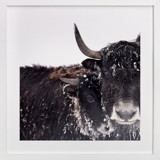 forever together Fine Art Prints