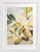 Bay Laurel II Fine Art Prints