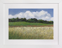 Meadow Horizon