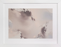 Doves in Flight 1 Fine Art Prints