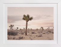 Wild Heart Fine Art Prints