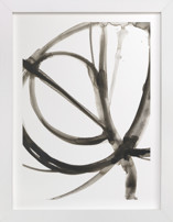 Plant Cell 6 Fine Art Prints