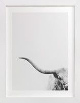 Brandir Fine Art Prints