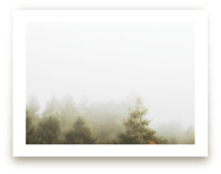 Foggy Autumn Forest Mor... by Katie Buckman