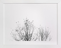 Fly Fly Away Fine Art Prints