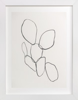Cactus Line Drawing Fine Art Prints