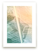 Catching Light by Alicia Youngken