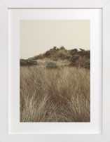 northcoast 4 Fine Art Prints