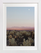 Joshua Tree II Fine Art Prints