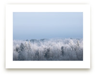 Frosted Horizon by Three Wings North