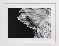 Night Swim Fine Art Prints