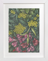 Mediterranean Bush Fine Art Prints