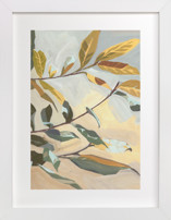 Bay Laurel Fine Art Prints