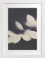 Emerging Fine Art Prints