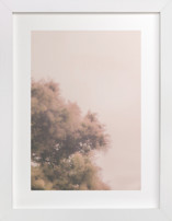 Plume 1 Fine Art Prints