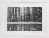 Hazy Mirror Fine Art Prints