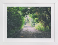 Pathway Fine Art Prints