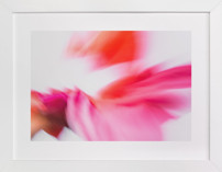 Chroma Explosion Fine Art Prints