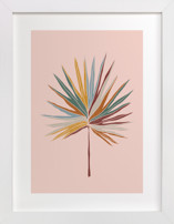 Chic Palm Fine Art Prints