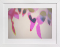 Finding My Way Fine Art Prints