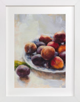 Summer Plums Fine Art Prints
