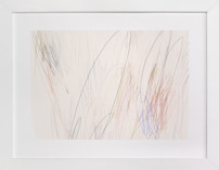 Amidst the Chaos Fine Art Prints