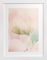 Sweet Memories I Fine Art Prints