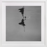 Softly Fine Art Prints
