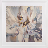 Desert Peony Fine Art Prints