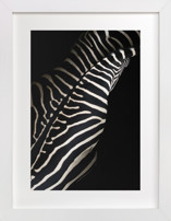 Night Stripes Fine Art Prints