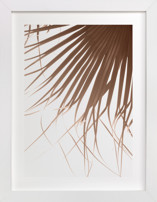 Leaves in the wind 2 Fine Art Prints