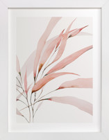 Mogna02 Fine Art Prints