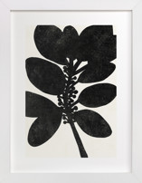 Minimalist Leaves Fine Art Prints