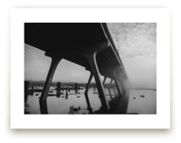 Life is Foggy by Curtis Newkirk