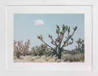 josh Fine Art Prints