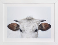 Wee Staredown Fine Art Prints