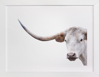 Holden Caulfield Fine Art Prints