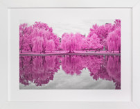 pink season Fine Art Prints