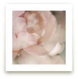 You Make Me Blush by Helen Makadia